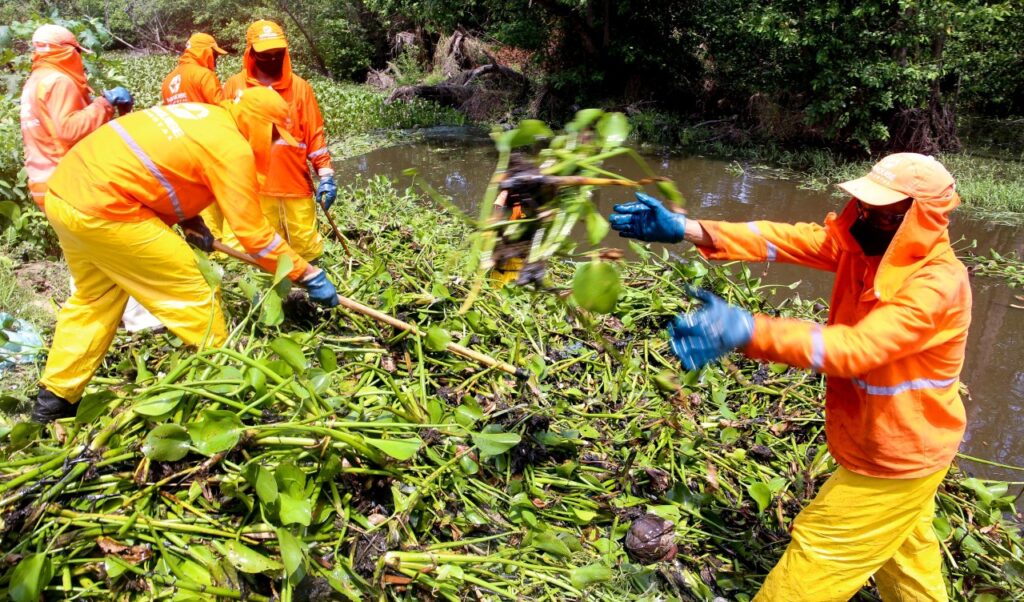 Limpeza de canais e lagoas é intensificada para conter riscos de inundação e de alagamento em Fortaleza