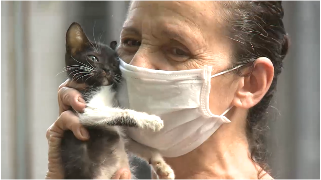 Animais deficientes mobilizam afetos e ações solidárias em Fortaleza