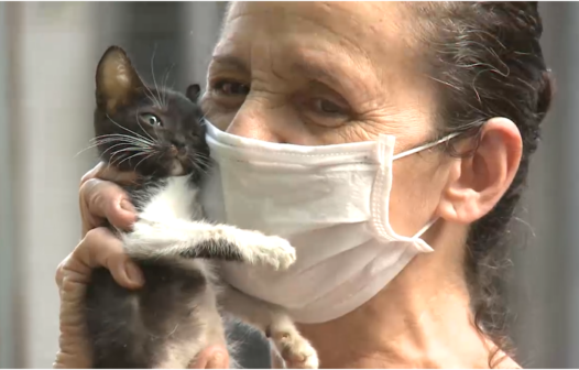 Animais deficientes mobilizam afetos e ações solidárias em Fortaleza