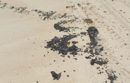 Manchas de óleo em praias do Ceará são diferentes do material encontrado em 2019, diz Marinha