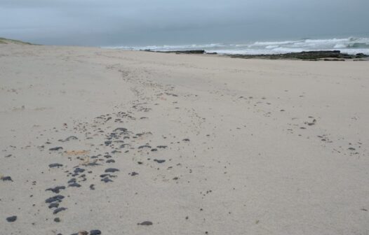 Manchas de óleo aparecem em praias do litoral do Ceará; saiba quais