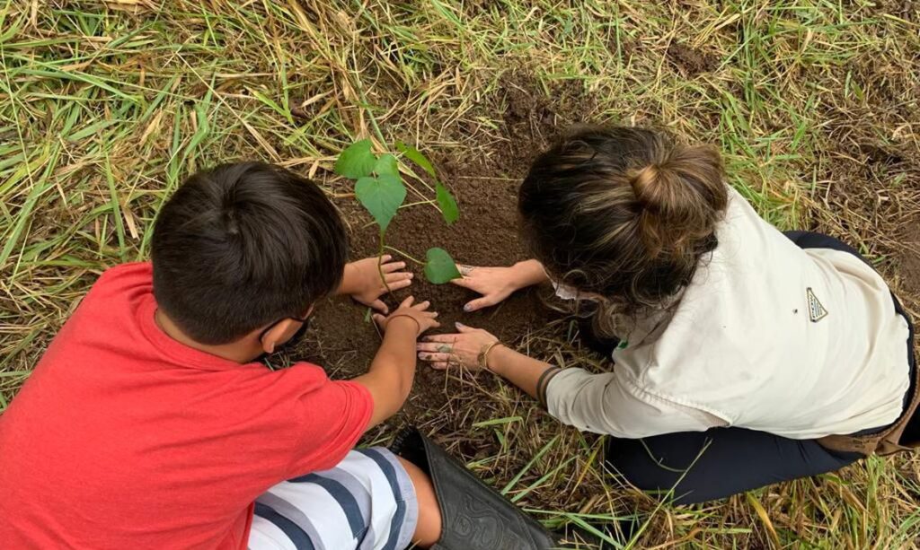 Memorial verde é plantado em São Paulo para lembrar pandemia no país