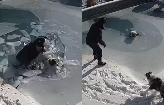 Morador mergulha em piscina congelada para resgatar cachorro