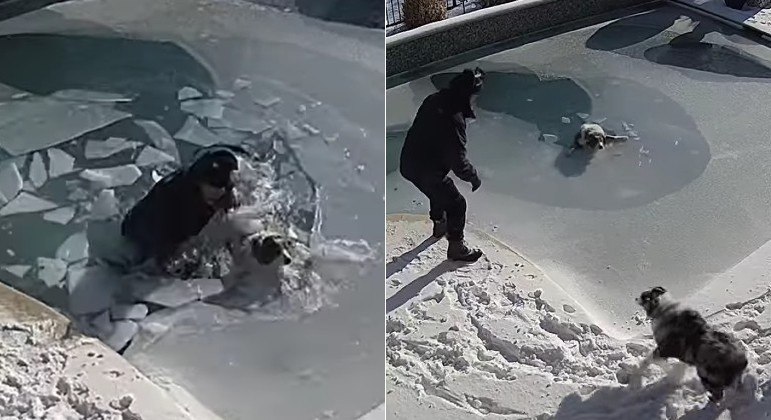 Morador mergulha em piscina congelada para resgatar cachorro