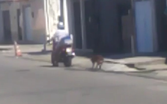 Motociclista puxa cachorro amarrado em uma corda pelas ruas de Fortaleza