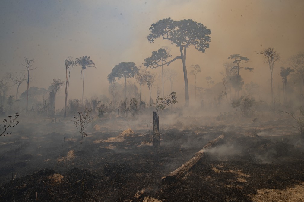 UFRJ: pesquisa aponta como a crise ambiental é percebida nas classes B e C