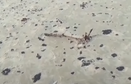 Após 2 anos, manchas de óleo ainda são encontradas em praias do Ceará