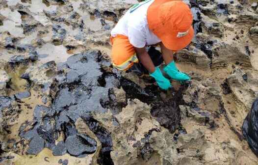 Ibama vistoria áreas atingidas por óleo no litoral do Ceará