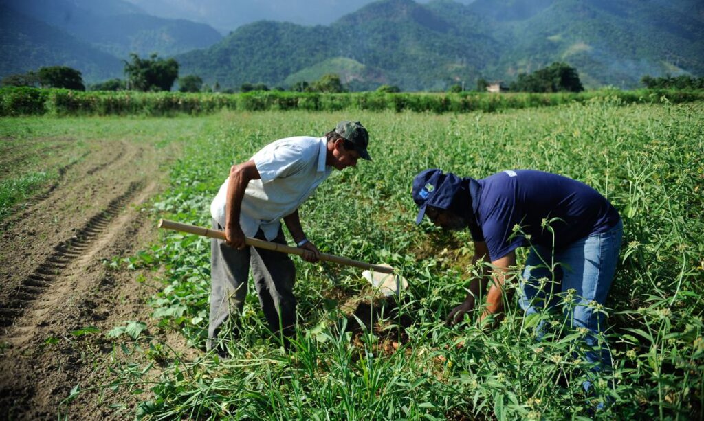 Produtor rural poderá regularizar cadastro ambiental pela internet