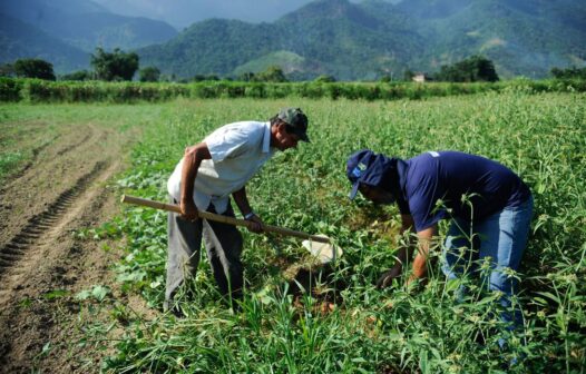 Auxílio prevê pagamento de R$ 2,5 mil por família para produtores rurais