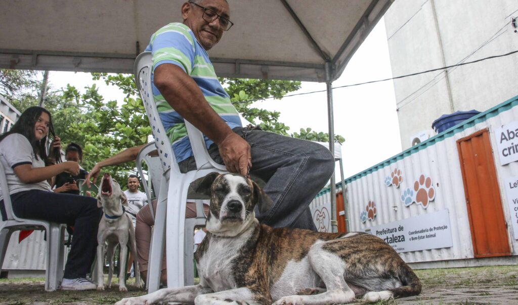 Pirambu recebe os serviços gratuitos do VetMóvel a partir de quarta-feira (22/06)