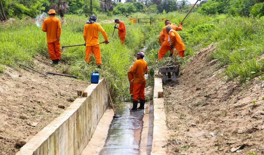 Mais de 2900 serviços de poda e recolhimento de árvores foram realizados em Fortaleza em 2022