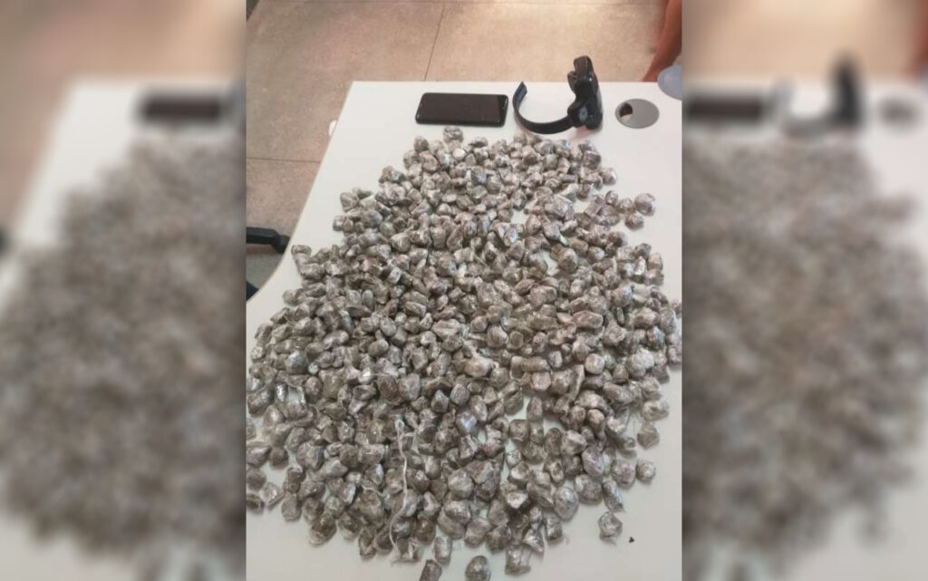 Polícia apreende mais de 600 papelotes de skunk escondidos dentro de túmulo em Pedra Branca