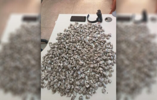 Polícia apreende mais de 600 papelotes de skunk escondidos dentro de túmulo em Pedra Branca