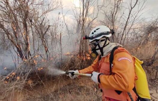 Número de incêndios em vegetação cai 78% no Ceará em 2022