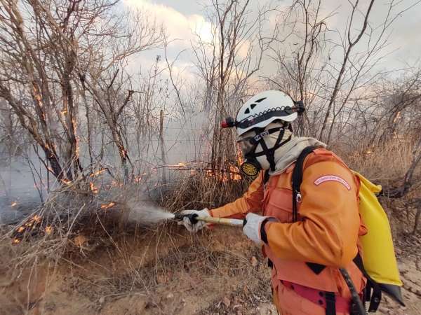 Número de incêndios em vegetação cai 78% no Ceará em 2022