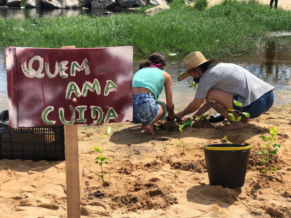 Praia de Fortaleza recebe plantio de espécies nativas de mangues