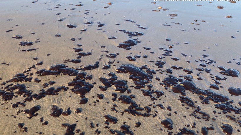 Pelo menos 64 praias cearenses já registram aparecimento de manchas de óleo em 2022