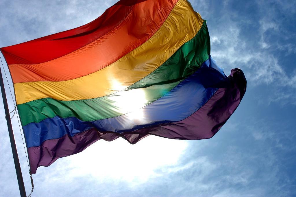 SPS e IDT lançam plataforma LGBTQIA+ para otimizar acesso ao mercado de trabalho