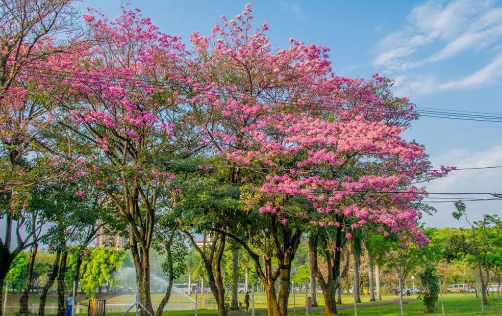 O que a chegada da Primavera pode significar para a crise hídrica no Brasil?