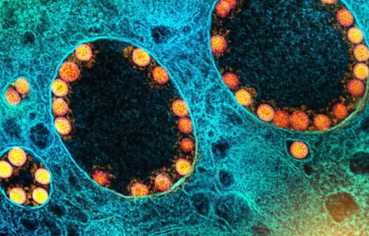 Somente duas doses de Coronavac não protegem contra variante Ômicron, aponta estudo