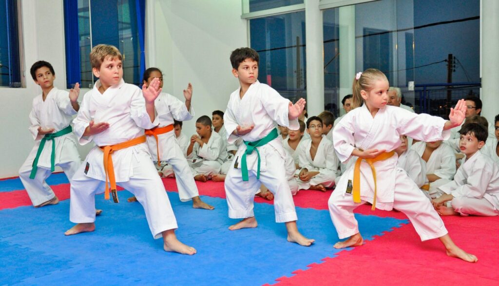 Projeto pretende instituir o ensino de artes marciais e defesa pessoal para alunos da rede pública de Fortaleza