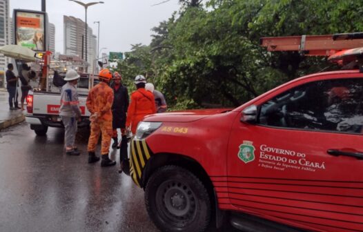 Queda de árvore deixa trânsito congestionado na avenida Engenheiro Santana Júnior, em Fortaleza