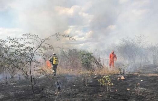 Ceará ultrapassa 20 mil focos de queimadas em 2020