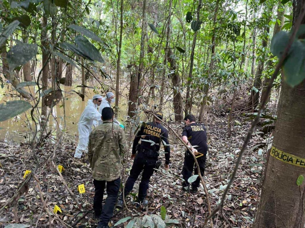 Queimados e esquartejados: suspeito confessa ter matado indigenista e jornalista inglês