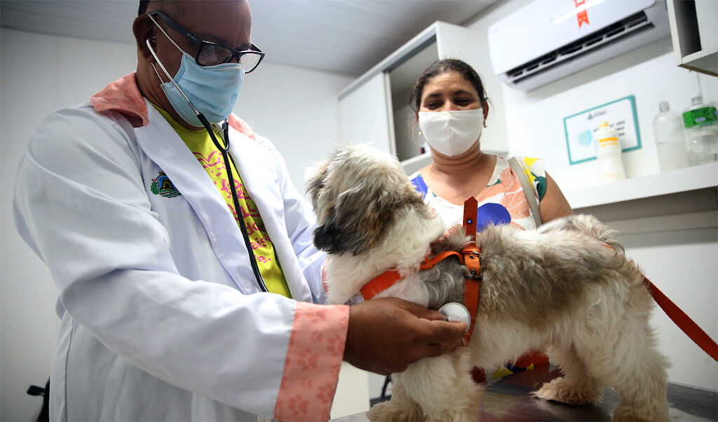 Saiba como conseguir atendimento veterinário gratuito em Fortaleza