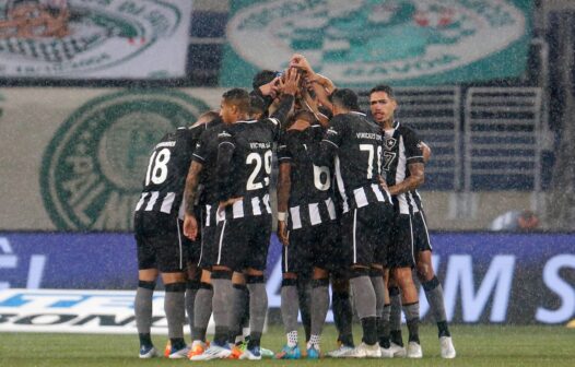 Saiba onde assistir Botafogo x Avaí pelo Campeonato Brasileiro