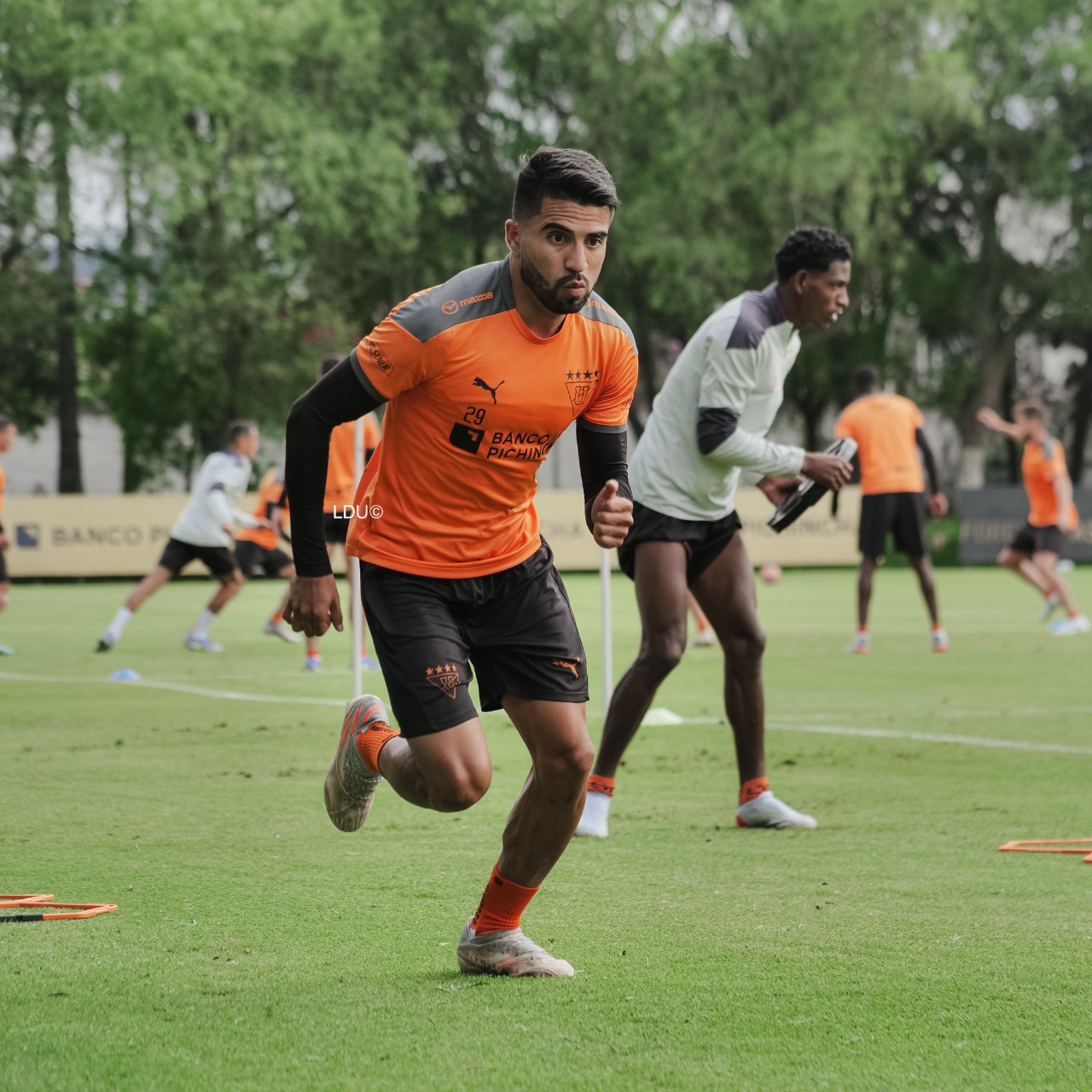 São Paulo x LDU ao vivo e online; saiba onde assistir à Copa Sul-Americana  · Notícias da TV