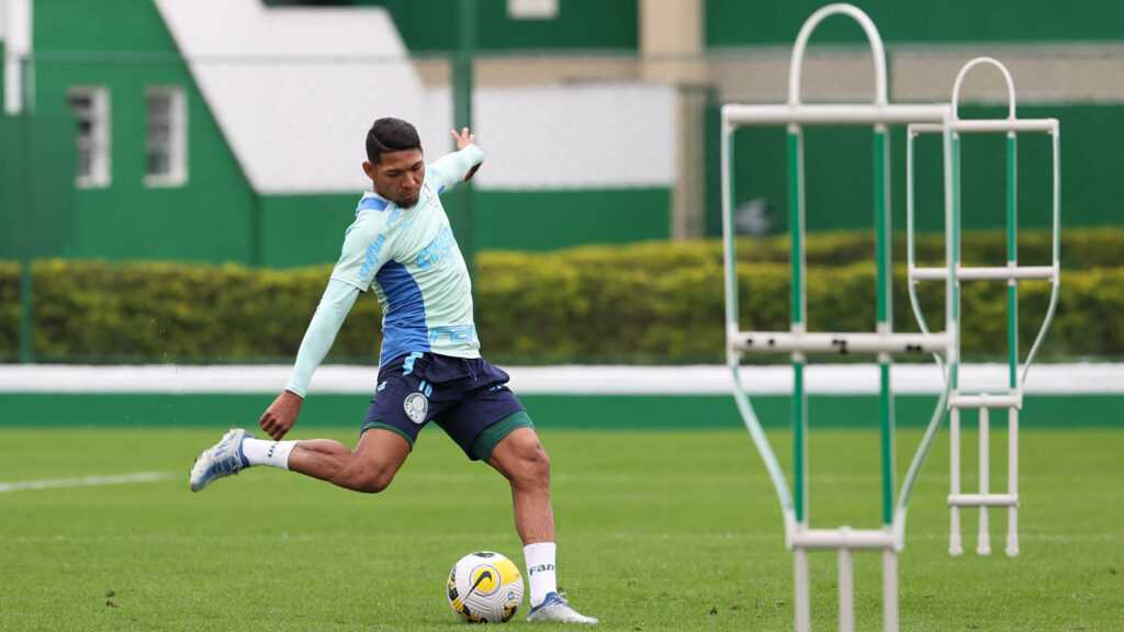 Saiba onde assistir Palmeiras x Botafogo pelo Campeonato Brasileiro