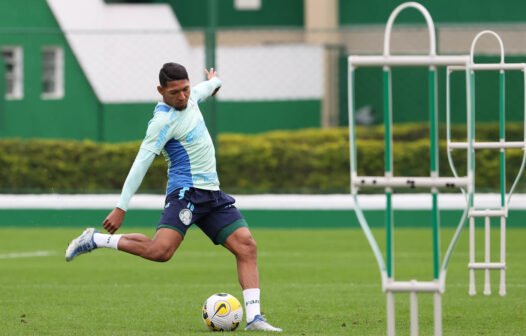 Saiba onde assistir Palmeiras x Botafogo pelo Campeonato Brasileiro