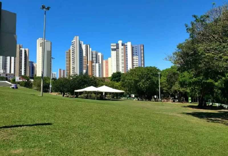 Reabertura gradual das trilhas do Parque do Cocó acontece a partir desta terça-feira (8)