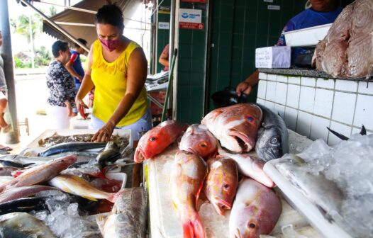 Semana Santa: peixes têm variação de até 217% no preço em Fortaleza