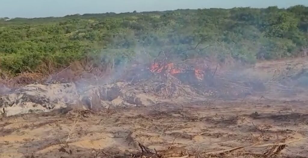 Terreno na praia de Lagoinha foi desmatado sem a autorização da Prefeitura de Paraipaba