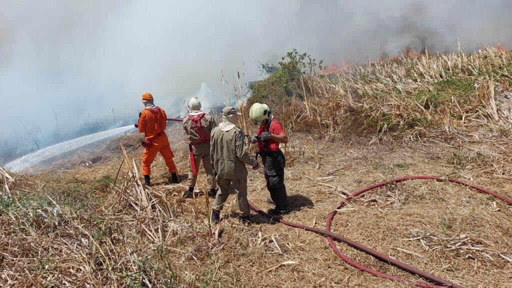 Trabalho de bombeiros no combate ao incêndio no Parque do Cocó já dura mais de 16 horas