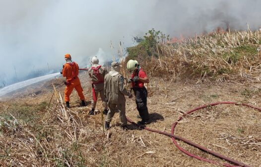 Trabalho de bombeiros no combate ao incêndio no Parque do Cocó já dura mais de 16 horas