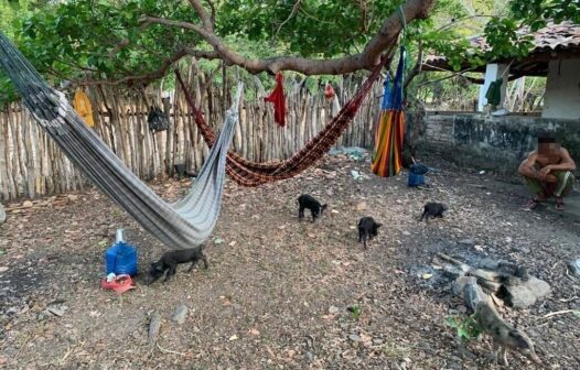 Trabalho escravo: nove pessoas dividiam casa com porcos em Granja, no Ceará