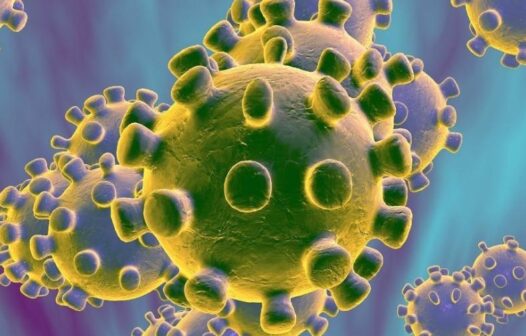 Variante de coronavírus no Brasil deve aumentar internações