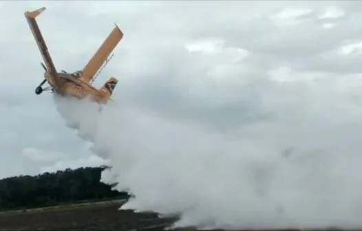 Vídeo registra momento em que avião cai em fazenda; entenda o motivo