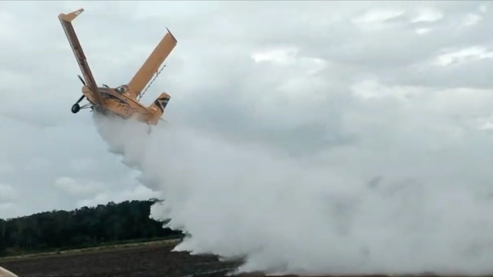 Vídeo registra momento em que avião cai em fazenda; entenda o motivo