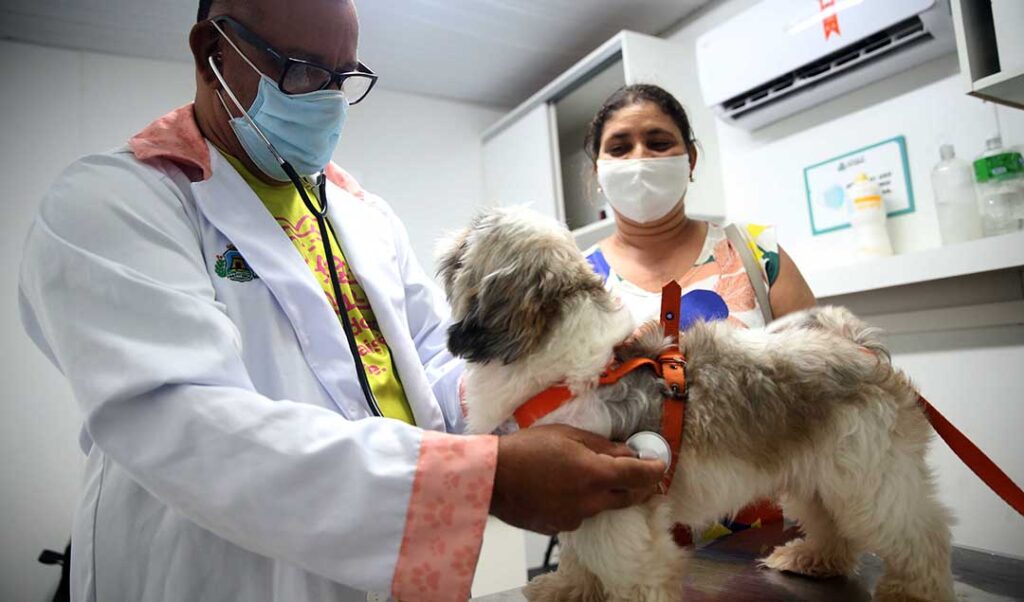 VetMóvel leva atendimento veterinário gratuito ao bairro Demócrito Rocha; confira serviços