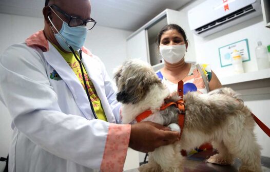 VetMóvel leva atendimento veterinário gratuito ao bairro Demócrito Rocha; confira serviços