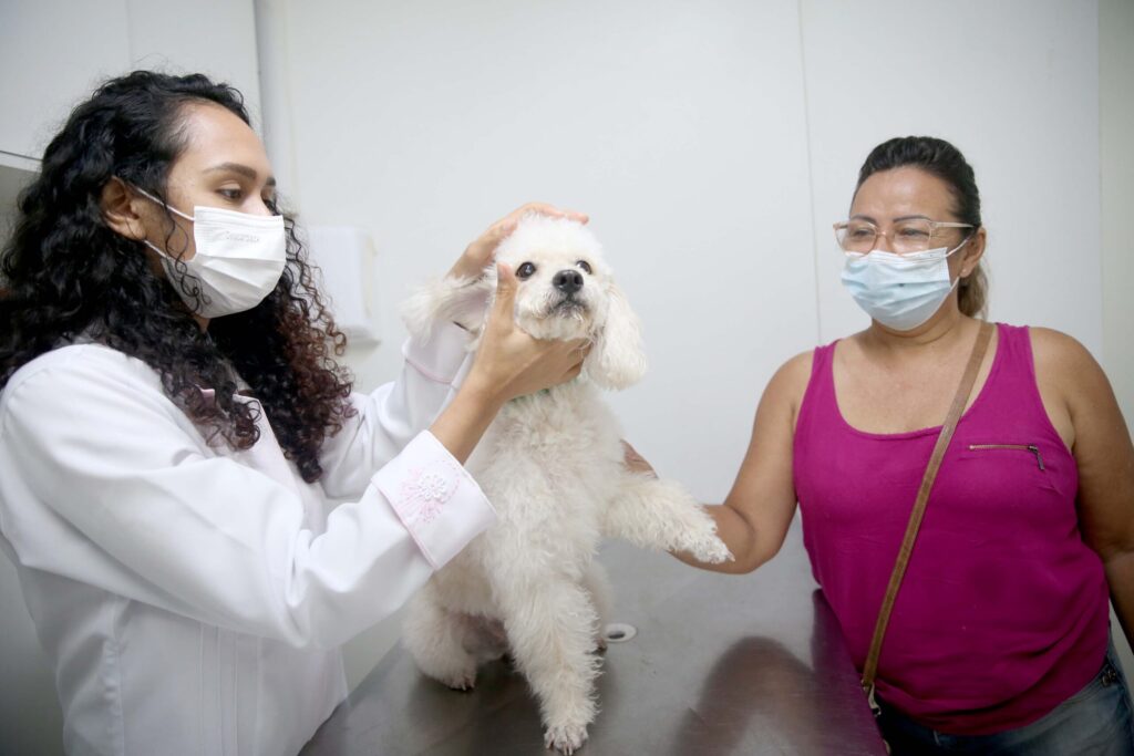 VetMóvel chega na Maraponga com consultas e castrações de animais