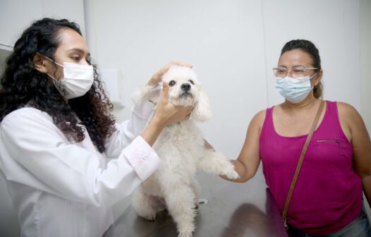 VetMóvel chega na Maraponga com consultas e castrações de animais