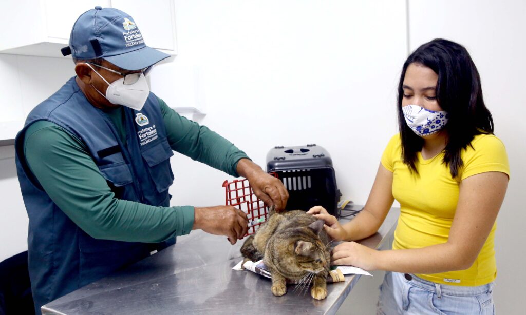 Dia "D" de vacinação contra raiva para cães e gatos acontece neste sábado (6), no Ceará