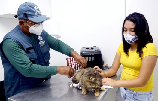 Dia “D” de vacinação contra raiva para cães e gatos acontece neste sábado (6), no Ceará