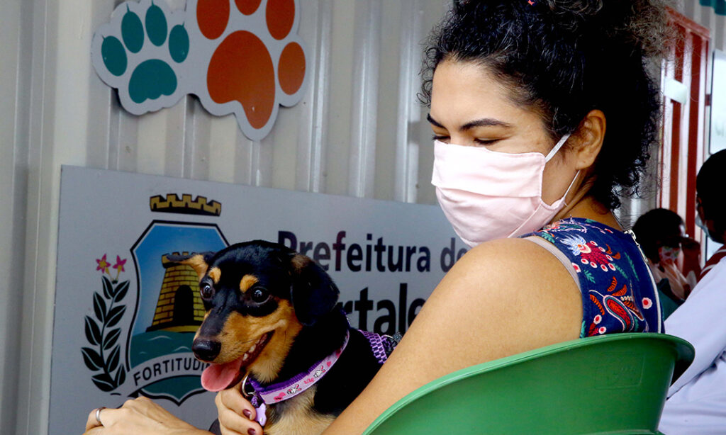 Fortaleza: VetMóvel leva serviços veterinários aos bairros Benfica e Henrique Jorge